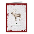 Plantable Seed Paper Holiday Greeting Card - - Seasons Greetings (Handsome Buck)